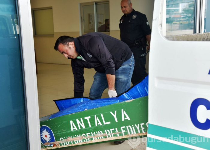 Antalya'da akılalmaz olay!