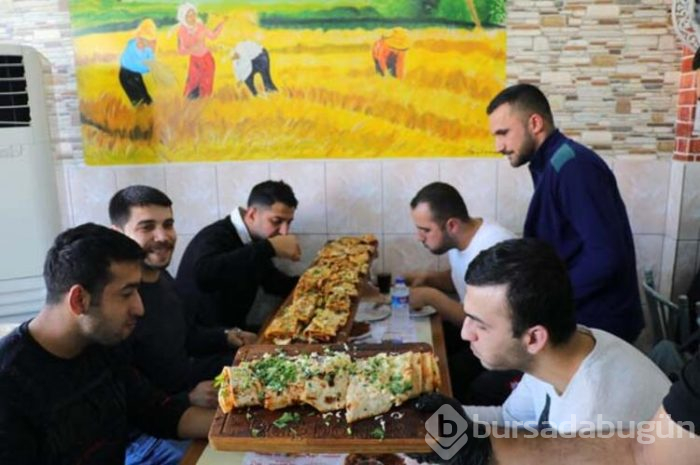 Adana'dan 'Piton döner'... 1 buçuk metre!
