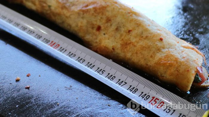 Adana'dan 'Piton döner'... 1 buçuk metre!