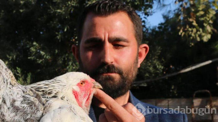Tavuklar için işini bıraktı... Şimdi para basıyor!