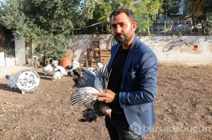 Tavuklar için işini bıraktı... Şimdi para basıyor!