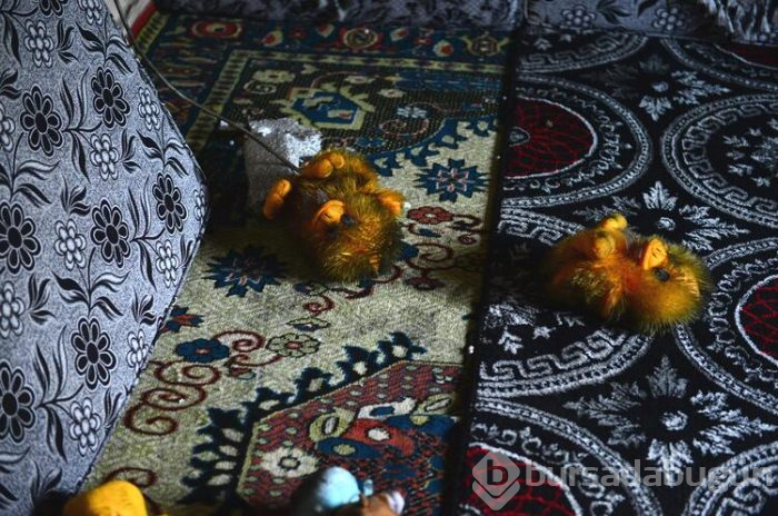 Evi yanan anne gözyaşlarına boğuldu
