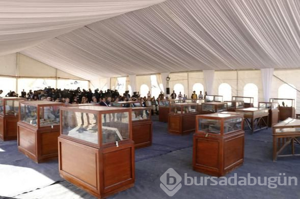Mısır'da Firavunlar dönemine ait kedi mumyaları bulundu