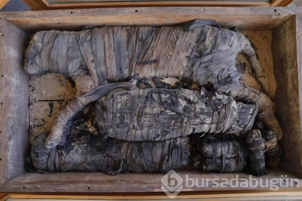 Mısır'da Firavunlar dönemine ait kedi mumyaları bulundu