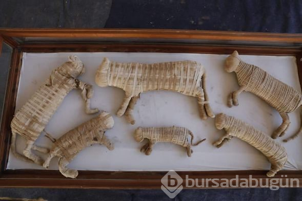 Mısır'da Firavunlar dönemine ait kedi mumyaları bulundu
