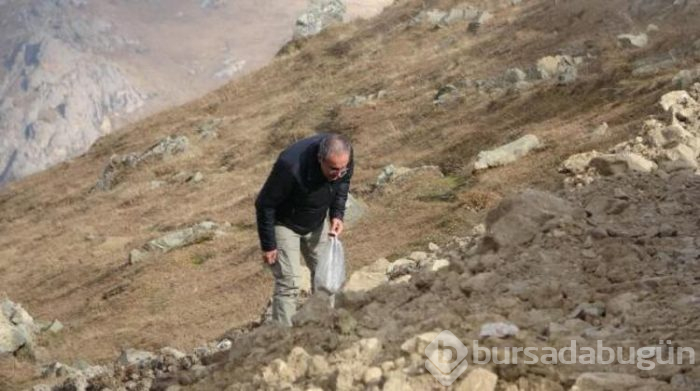 'Dipsiz Göl' ile ilgili flaş açıklama!
