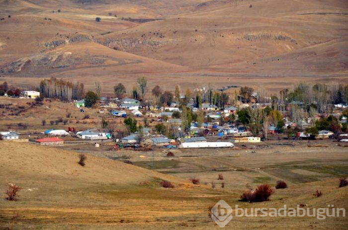 Muş'ta 2 bin 128 mezar taşındı!
