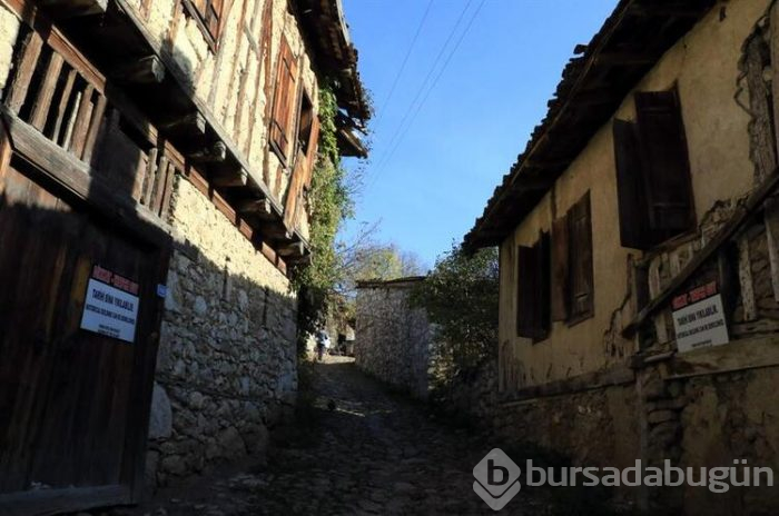 Müze köy