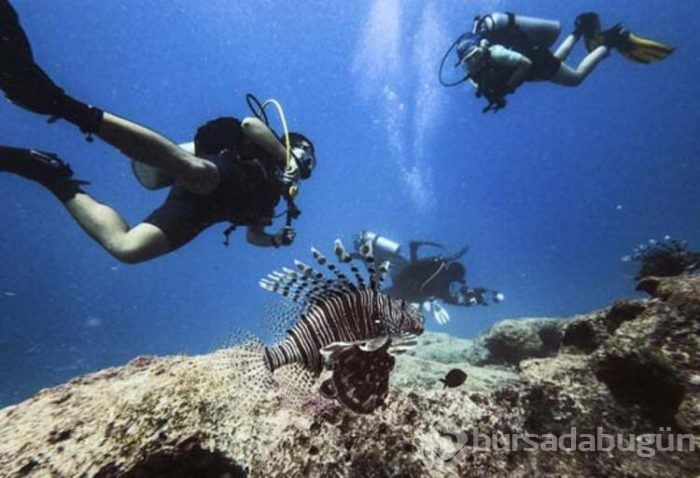 Dalış turizminin değişmeyen adresi "Kaş"