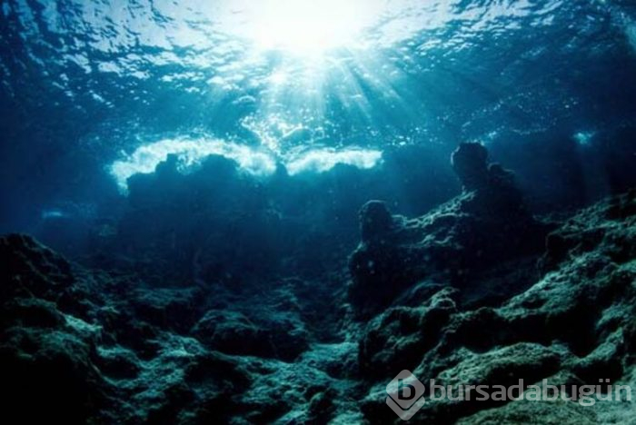 Dalış turizminin değişmeyen adresi "Kaş"