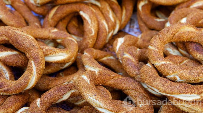 Korkutan araştırma