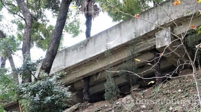 Ağaçlar zarar görmesin diye beton köprüyü deldiler