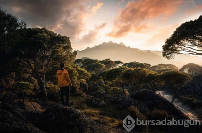  ''Ülkemi dünyaya tanıtmak istiyorum''