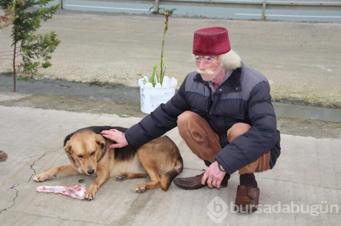 Şehir hayatından böyle uzaklaştı