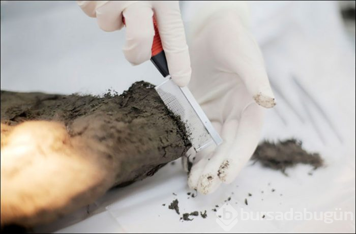 DNA testi sonuçları herkesi şoke etti
