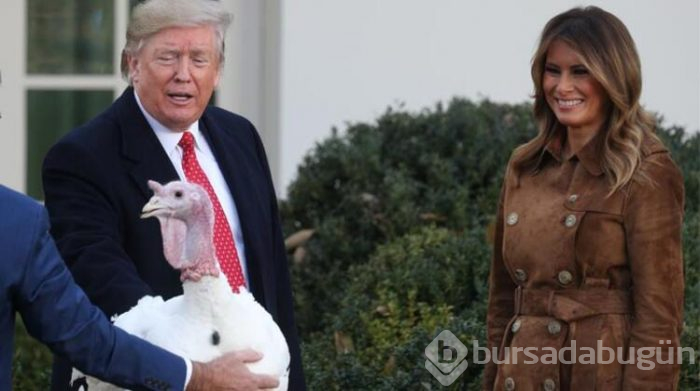 Trump hindileri affetti!