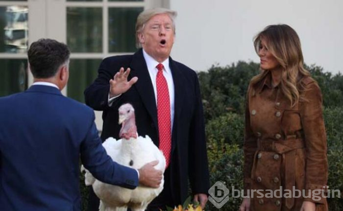 Trump hindileri affetti!