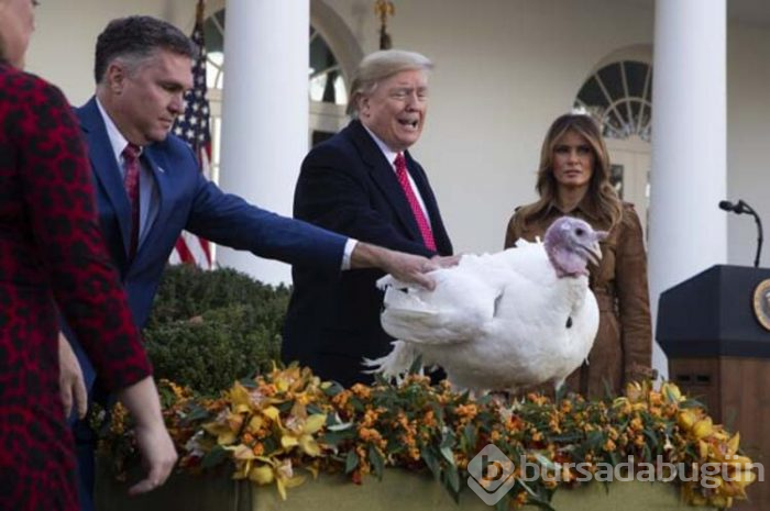 Trump hindileri affetti!