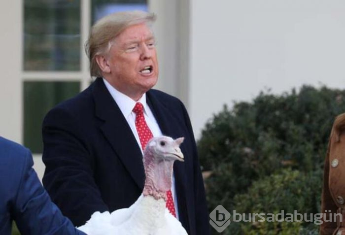 Trump hindileri affetti!