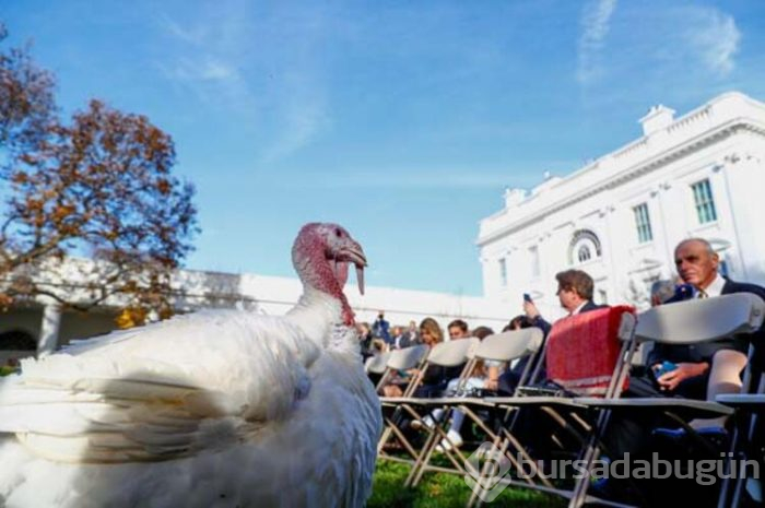 Trump hindileri affetti!
