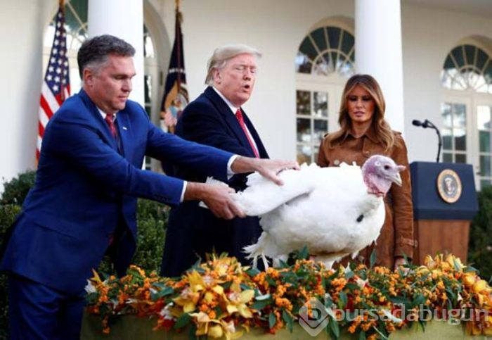 Trump hindileri affetti!