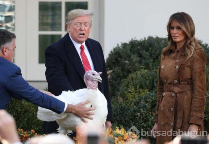 Trump hindileri affetti!