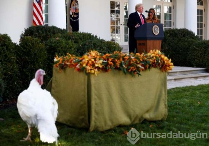 Trump hindileri affetti!
