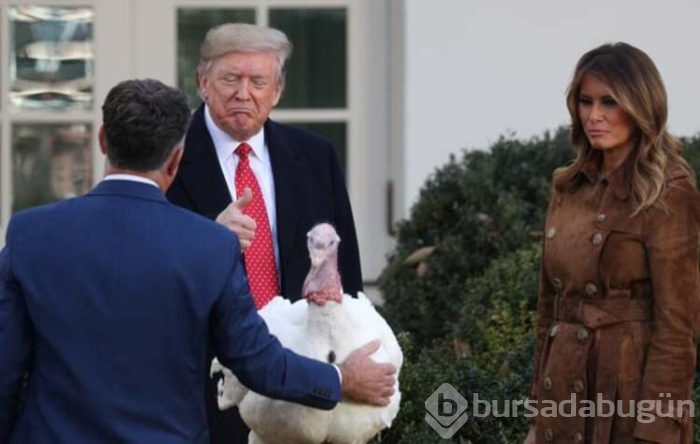 Trump hindileri affetti!