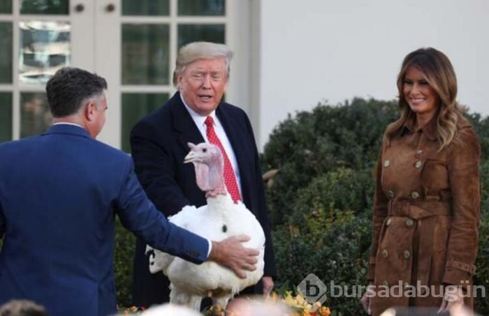 Trump hindileri affetti!