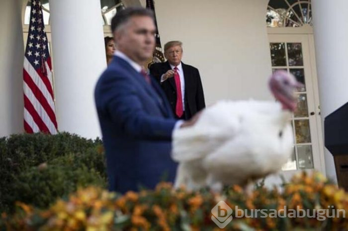 Trump hindileri affetti!