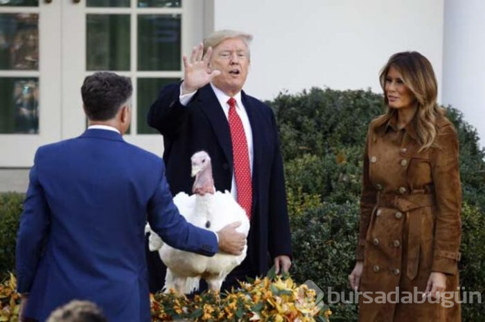 Trump hindileri affetti!