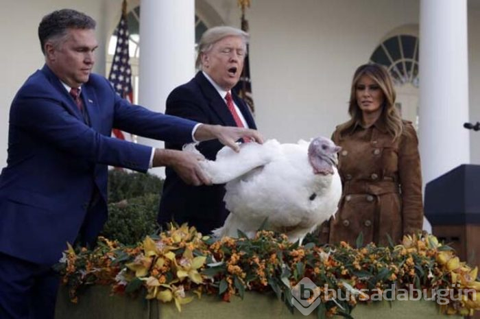 Trump hindileri affetti!