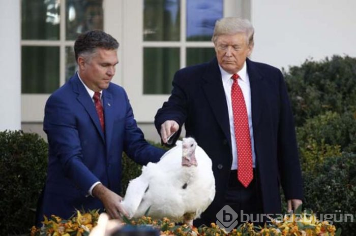 Trump hindileri affetti!