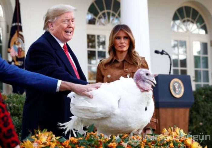 Trump hindileri affetti!