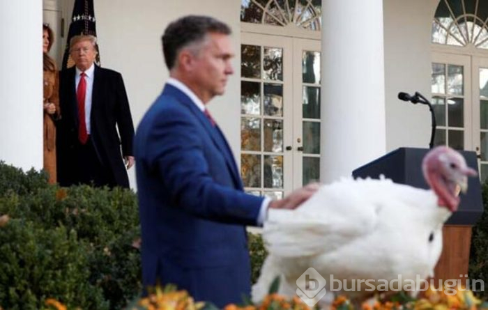 Trump hindileri affetti!