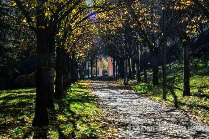 Ankara'da görsel şölen