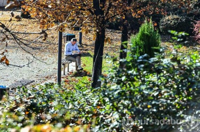 Ankara'da görsel şölen