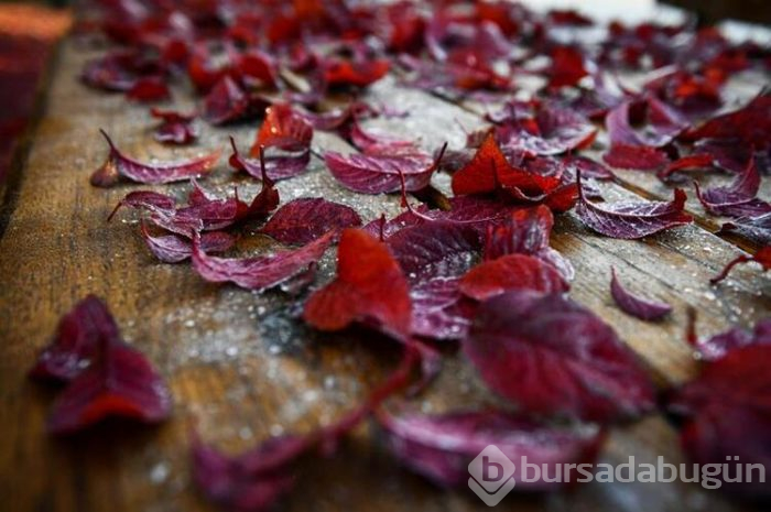Ankara'da görsel şölen