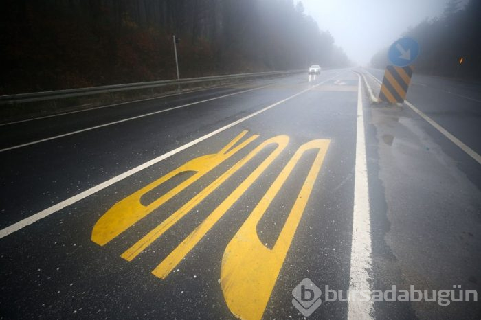 Bolu Dağı'nda sağanak ve yoğun sis 