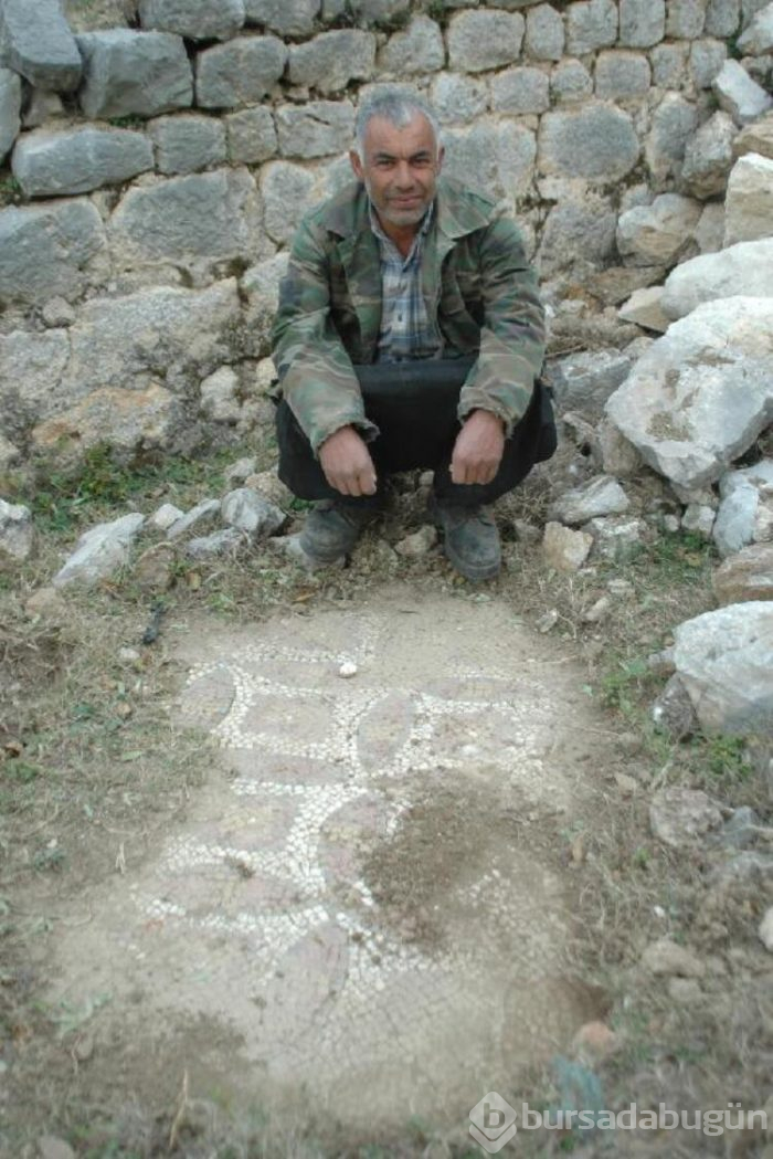 Tesadüfen keçilerini otlatırken buldu!