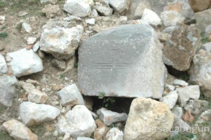 Tesadüfen keçilerini otlatırken buldu!
