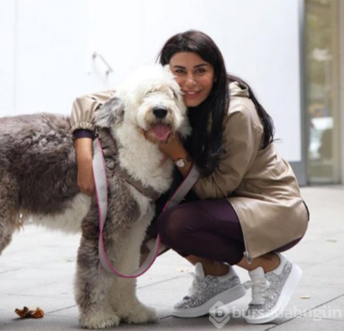 Bir köpeğimin fön ve yıkama bedeli 150 TL