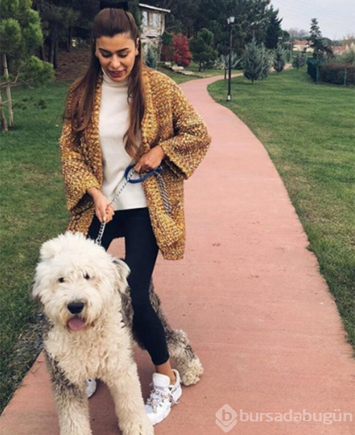 Bir köpeğimin fön ve yıkama bedeli 150 TL
