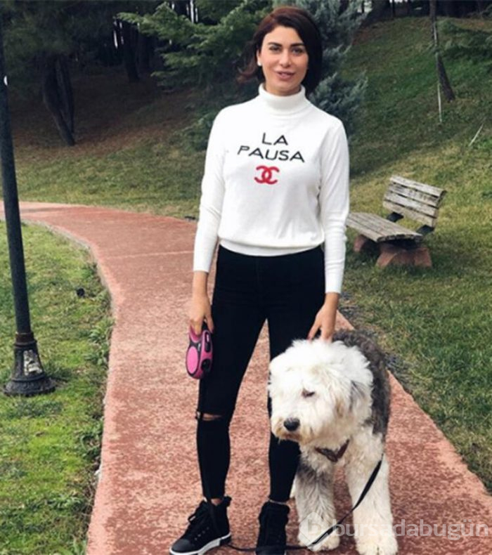 Bir köpeğimin fön ve yıkama bedeli 150 TL