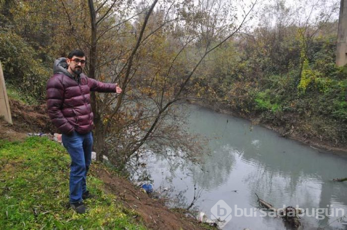 Çayın rengi maviye döndü!