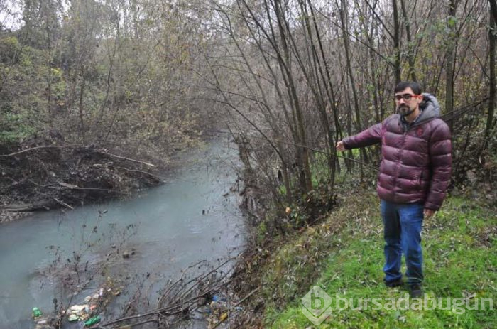 Çayın rengi maviye döndü!