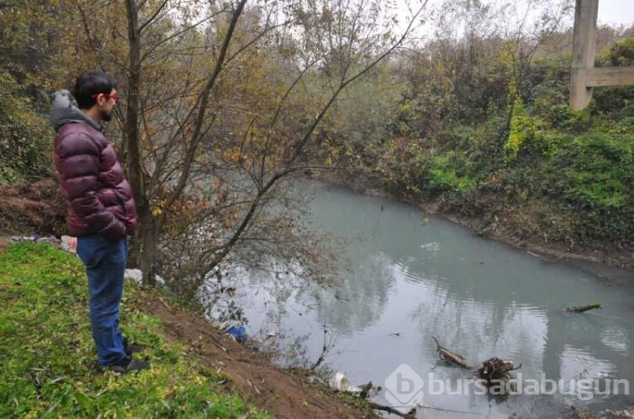 Çayın rengi maviye döndü!