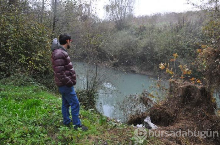 Çayın rengi maviye döndü!