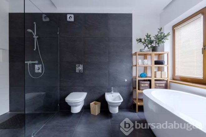 Tuvalet kağıtları neden beyaz?