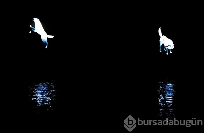 Işıklarla sanat yaptılar!